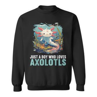 Just A Boy Who Loves Axolotls Lovers Axolotl Sweatshirt - Thegiftio UK