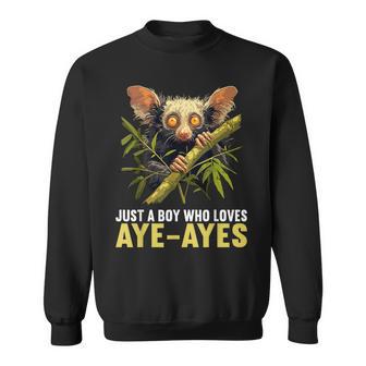 Just A Boy Who Loves Aye-Ayes Lovers Aye-Aye Sweatshirt - Thegiftio UK