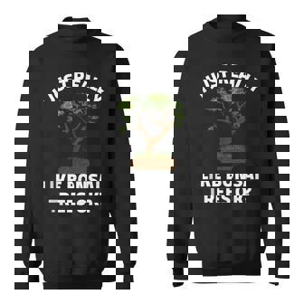 I Just Really Like Bonsai Trees Ok Tank Top Sweatshirt Unisex | Mazezy