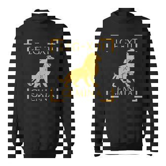 Legio Xiii 双子座ライオンエンブレム ローマ軍 スウェットシャツ - Kawaiitshirt