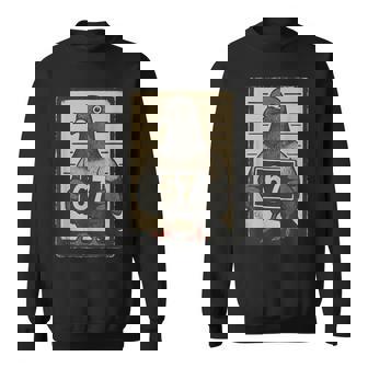 Lustigesixeven Meme 67 Pigeon Hotiraler Internettrend Sweatshirt - Geschenkecke