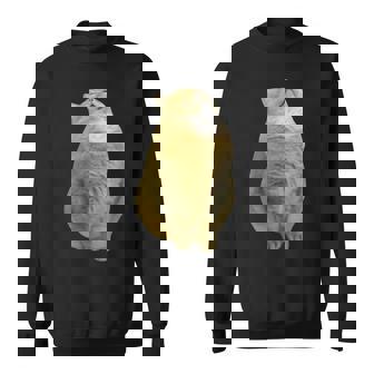 Meme Yellow Cat leep Internetiral スウェットシャツ - Kawaiitshirt