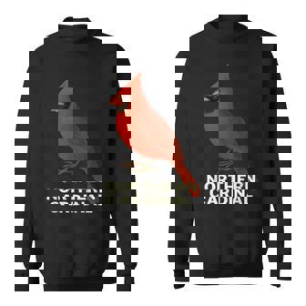 Northern Cardinal Bird Tee Sweatshirt Unisex | Mazezy