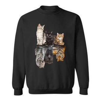 Pour Les Amoureux Des Chats Les Propriétaires De Chats Sweater e - Cadeauxyz