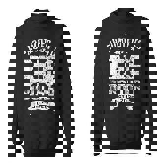 Promoted To Big Brother 2026 Cool Brother Baby Announcement Sweatshirt - Thegiftio