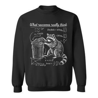 What Raccoons Really Think Physics Math Science Sweatshirt Unisex | Mazezy