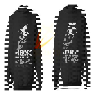 RC Plane Helicopter Pilot Remote Control Flying Hobby Sweatshirt Unisex | Mazezy