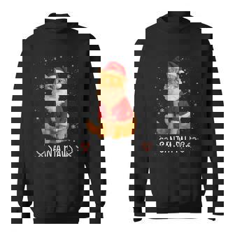 Santa Paws Orange Tabby Cat Christmas Holiday Sweatshirt Unisex | Mazezy