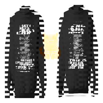 Sorry I'm Cranky I'm Going Through My Terrible 80'S Cat Sweatshirt | Mazezy