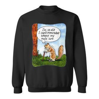 Squirrel I’M So Old I Can’T Remember Where My Nuts Are Sweatshirt - Thegiftio