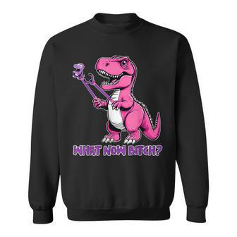 T-Rex Dinosaur What Now BiTch Tyrannosaurus Rex T Sweatshirt - Thegiftio UK