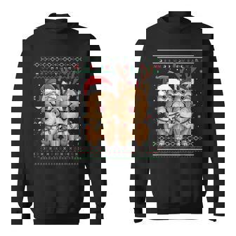 Ugly Pomeranian Dog Xmas Santa Matching Christmas Sweater Sweatshirt | Mazezy