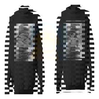 Wacky Cat Snow Kitten Soldier Selfie With Gun Meme Sweatshirt Unisex | Mazezy