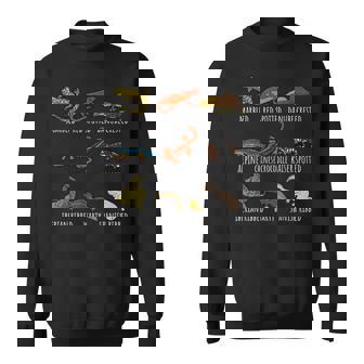 イモリ愛好家のためのかわいい種類のイモリサンショウウオ種チャート スウェットシャツ - Kawaiitshirt