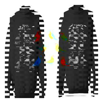 カラフルな8種のインコ コンゴウインコ スウェットシャツ - Kawaiitshirt