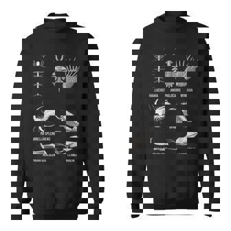 カンブリア紀 生き物 化石 古美術 進化 科学 恋人 スウェットシャツ - Kawaiitshirt