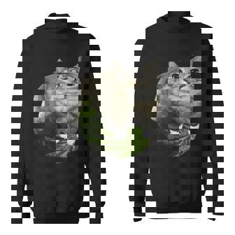 スイカ猫ミーム スウェットシャツ - Kawaiitshirt