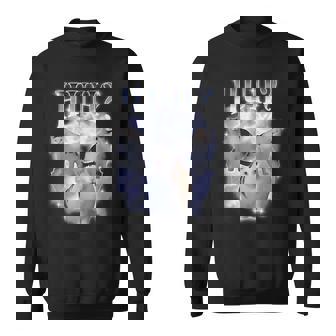 ハ゛ー キャット チョンキー ベンミーム 90年代 愚かな猫 特定 ダンク ミーム スウェットシャツ - Kawaiitshirt