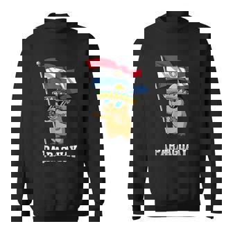 パラグアイ国旗 パラグアイのプライド スウェットシャツ - Kawaiitshirt