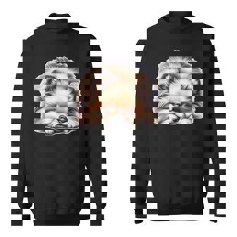 ポメラニアン × ポメラニアン 犬 寝ている スウェットシャツ - Kawaiitshirt