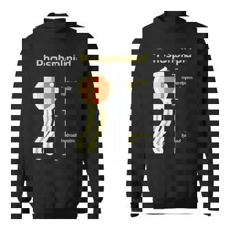 リン脂質 スウェットシャツ - Kawaiitshirt