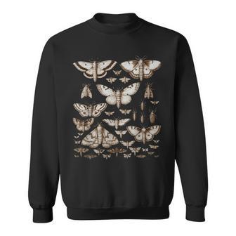ヴィンテージ 蛾 蝶 自然 イラスト アート スウェットシャツ - Kawaiitshirt