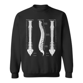 人間の脊椎解剖学カイロプラクティック図 スウェットシャツ - Kawaiitshirt
