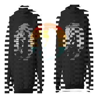 猫とバイオリン 楽器 面白い子猫愛好家 スウェットシャツ - Kawaiitshirt