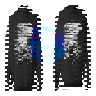銀河 イルカ 宇宙 地球 海 スウェットシャツ - Kawaiitshirt