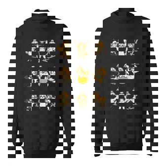 面白いtシャツ 犬 シーズー 筋トレ ジム イヌ グッズ かわいい おもしろtシャツ 面白い 服 ネタ スウェットシャツ - Kawaiitshirt