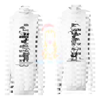 Boxer Dog Christmas Lights Santa Xmas Pet Dog Lover Sweatshirt - Seseable