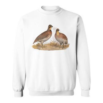 California Quail CA Quail Birder Vintage California Quail Tank Top Sweatshirt Unisex | Mazezy
