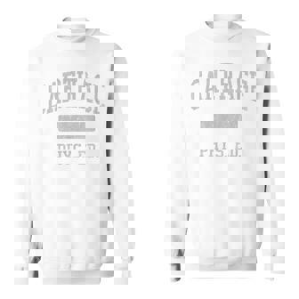 Carthage High School HS Carthage NY PHYS Ed Sweatshirt Unisex | Mazezy