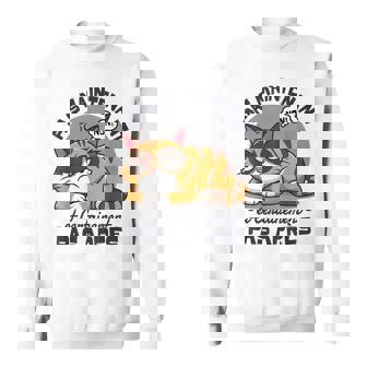 Chat Motif Humour Paresse Fatigue Pas Maintenant Chat Sweater e - Cadeauxyz