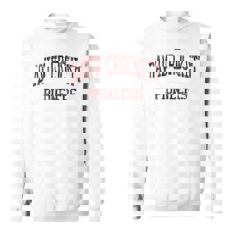 David Crockett High School HS Jonesborough TN Vintage Sports Sweatshirt Unisex | Mazezy