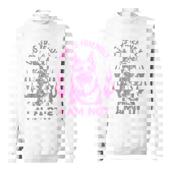 Dog Is Friendly I Am Not German Shepherd Dog Sarcasm Sweatshirt Unisex | Mazezy