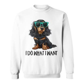 Do What I Want Black Long Haired Dachshund Lover Sweatshirt - Thegiftio UK