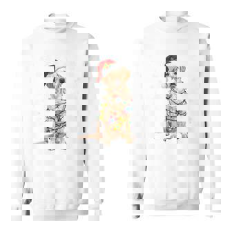 Holiday Santa Hat & Christmas Light Xmas Labrador Dog Tri-Blend Sweatshirt | Mazezy