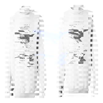 Humpack Whale Anatomy Marine Biology Sweatshirt | Mazezy
