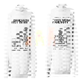 Pitbull Evolution 3 Months 36 Months Sweatshirt Unisex | Mazezy