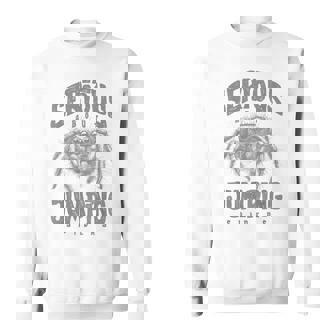 Serious About Jumping Spiders Pet Spider Owner Sweatshirt Unisex | Mazezy