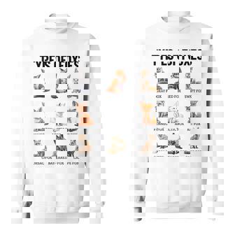 Types De Renards Collection Éducative Types De Renards Espèces De Renards Sweater e - Cadeauxyz