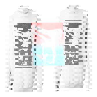 ブレイクダンサー ヒップホップダンス ブレイクダンス スウェットシャツ - Kawaiitshirt