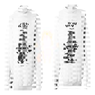 筋トレ ジム やる気がないなら家に帰れ トラ猫 ねこ スウェットシャツ - Kawaiitshirt