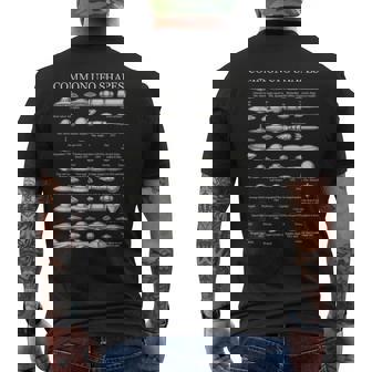 Common UFO Shapes Vintage Chart Alien Flying Saucer Men's Back Print T-Shirt | Mazezy