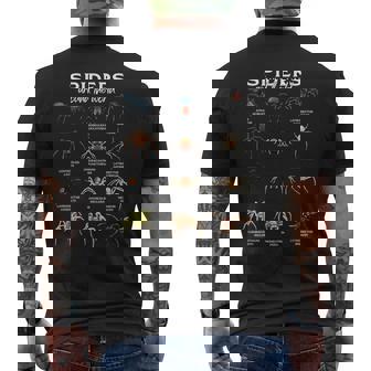 Spiders In The World Spider Species Men's Back Print T-Shirt | Mazezy