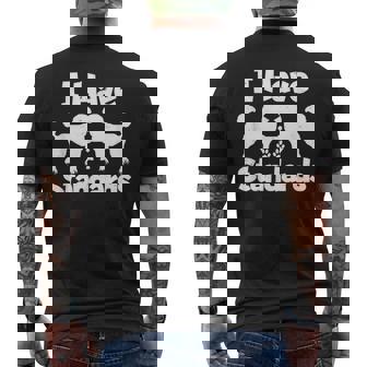 スタンダード プードル オーナーズ I Havetandards ファニー プードル メンズTシャツ バックプリント - Kawaiitshirt