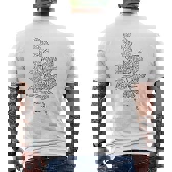 ウォールナットツリーリーフヴィンテージ植物学tシャツtシャツ メンズTシャツ バックプリント - Kawaiitshirt