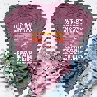 Peregrine Falcon Lover Birdwatching Wildlife Artwork Women's Heather T-Shirt | Mazezy