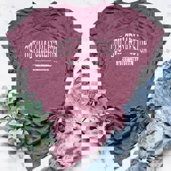 South Charleston WV J03 Vintage Athletic Sports Women's Heather T-Shirt | Mazezy